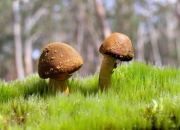 开云体育-班凯罗狂砍40分引爆全场，浙江队火力全开压制掘金迎大胜