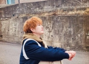 开云体育APP下载-关于非洲传奇球员或陷退役危机，球迷盼其东山再起的信息