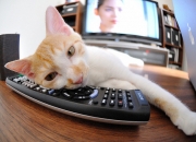 开云-当红牛遇见黑星，一场无国界德比与福登的时间切割术