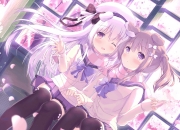 开云体育APP下载-破壁之战，开拓者强势拿下骑士，锡安无解表演定义新时代