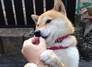 开云体育APP下载-欧冠之夜，唯他起舞，欧文与巨大舞台的巫师契约