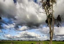 开云体育在线-魔幻昨夜！掘金铁蹄踏碎国足草坪裁判哨声引爆世纪争议