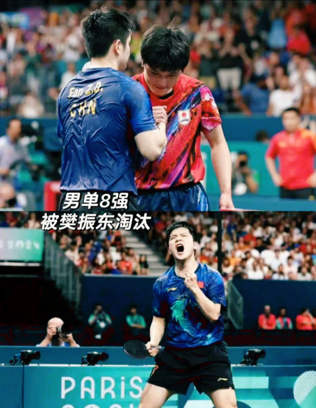 奥地利队险胜波兰队,张本智和惊艳四座 奥地利队险胜波兰队,张本智和惊艳四座