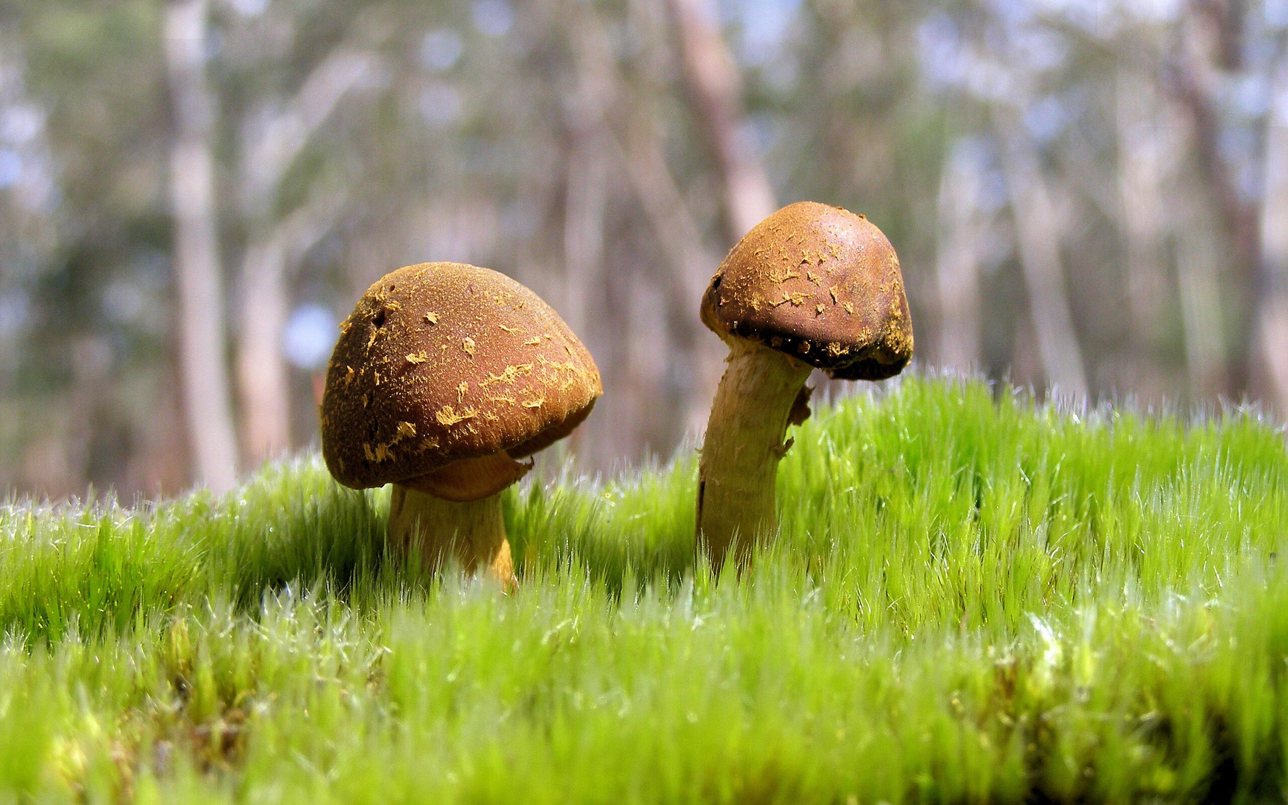 班凯罗狂砍40分引爆全场,浙江队火力全开压制掘金迎大胜