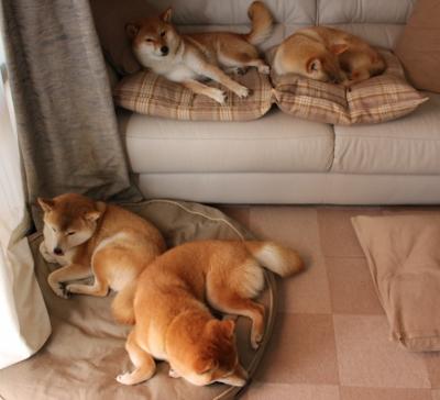 面对旧主尼克斯的生死时刻,杜兰特如何为鹈鹕挺身而出?