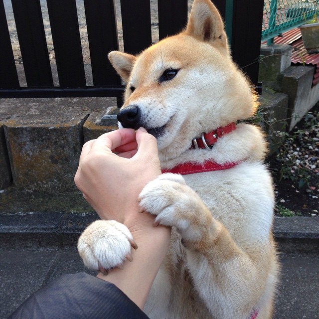 绿豹突袭塞纳河畔，维尼修斯用金色弧线点燃巴黎的非洲之夜