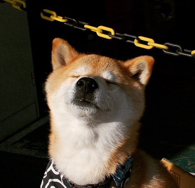 跨时空对决,爱德华兹用41分改写新疆队对阵黄蜂的叙事