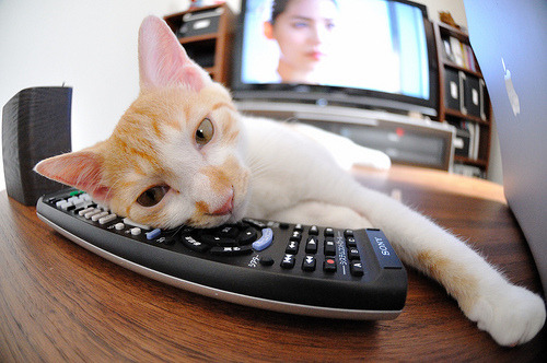 当红牛遇见黑星,一场无国界德比与福登的时间切割术