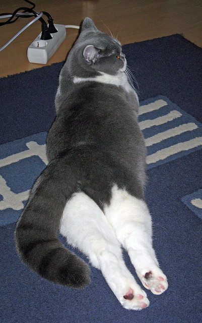 年度焦点之战之夜，李刚仁闪耀全场，最佳殊荣无争议