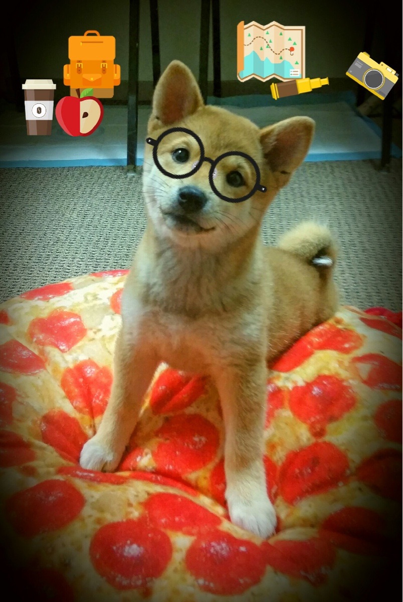 冰与火之歌,美加墨世界杯之夜的冷静大脑与进攻引擎