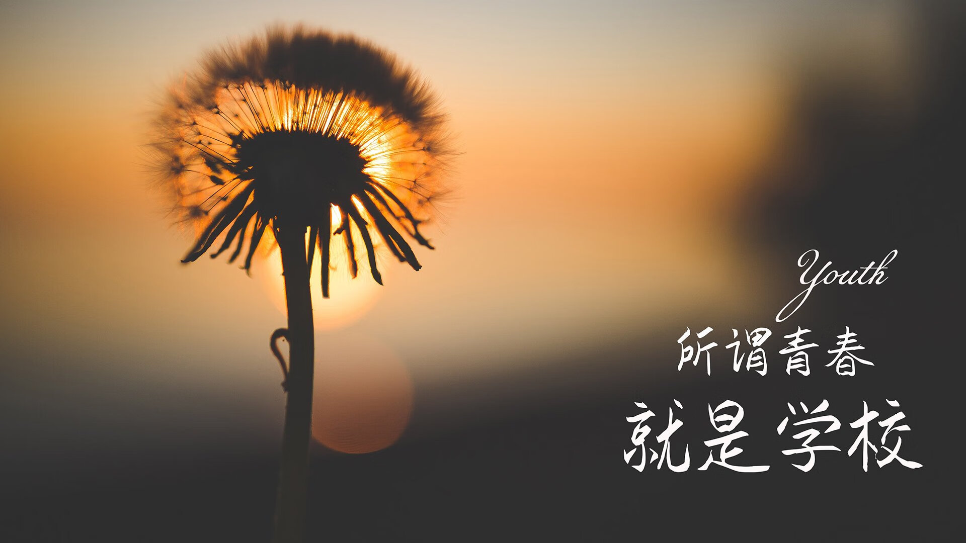 沙漠之鹰的独舞,努涅斯在2026世界杯B组对决中改写了阿联酋足球的命运